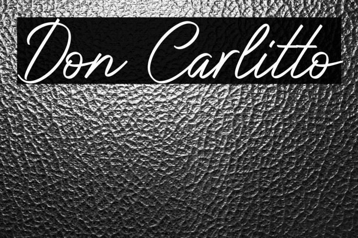 Don Carlitto Example 3