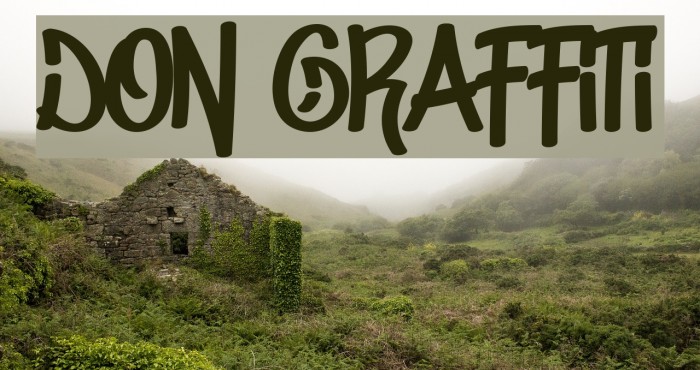 Don Graffiti Fonte examples