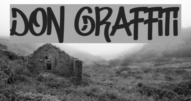 Don Graffiti Font examples