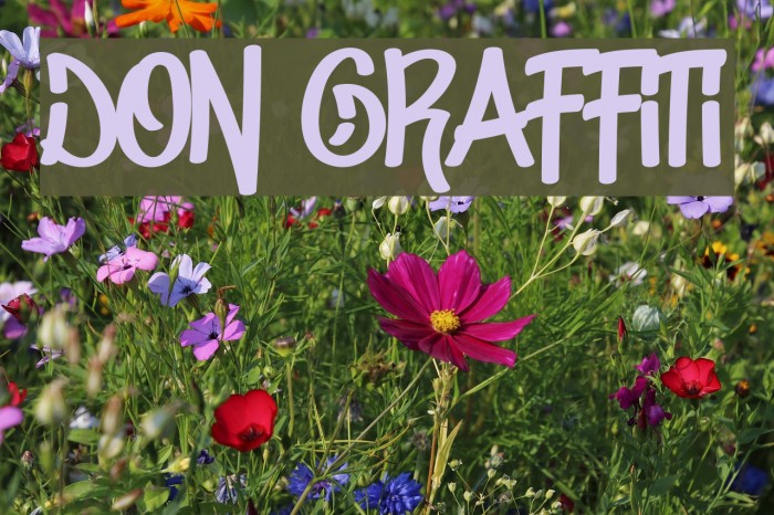 Don Graffiti Fonte examples