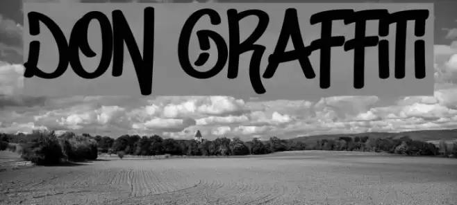 Don Graffiti Font examples