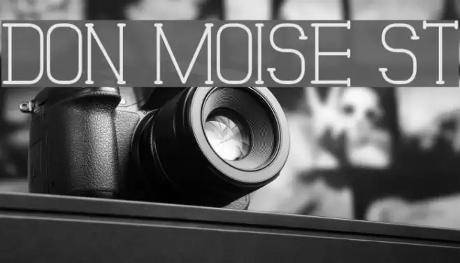 Don Moise St Font examples