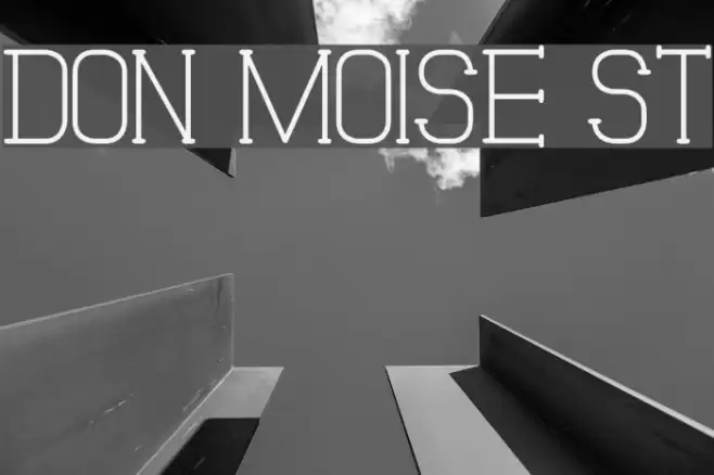 Don Moise St Font examples