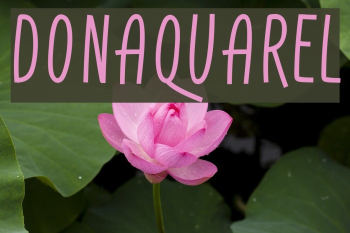 DonAquarel Font examples
