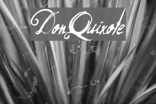 DonQuixote Font examples