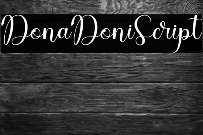 DonaDoniScript Font examples