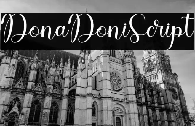 DonaDoniScript Font examples