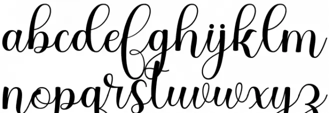 DonaDoniScript 字体 小写