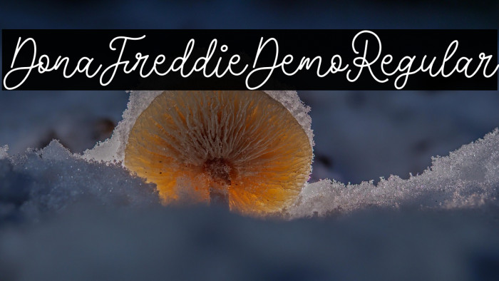 DonaFreddieDemo-Regular Example 2