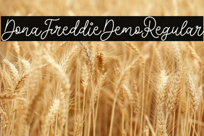 DonaFreddieDemo-Regular Example 3