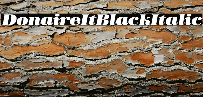 Donaire It Black Italic Example 2