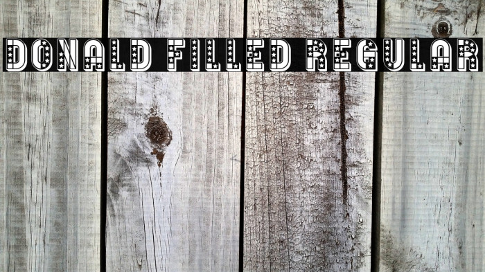 Donald Filled Regular Example 2