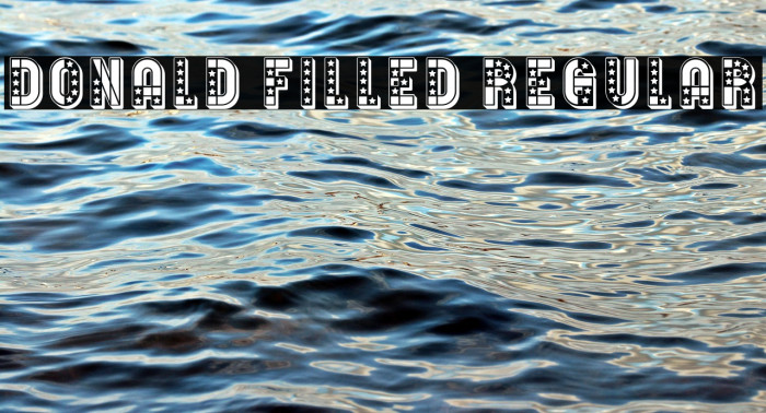 Donald Filled Regular Example 3