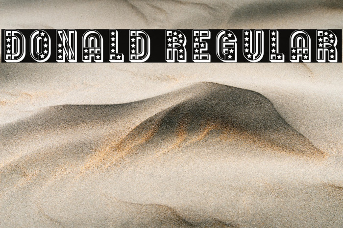 Donald Regular Example 2