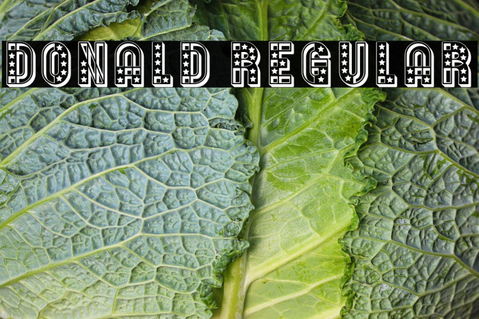 Donald Regular Example 3