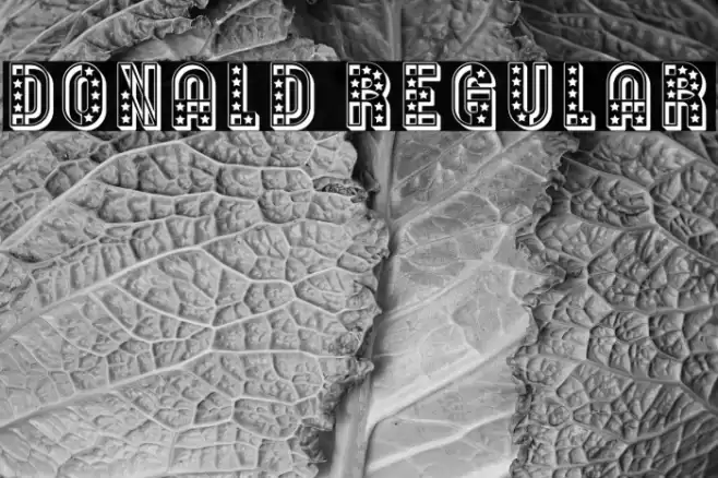 Donald Regular Font examples