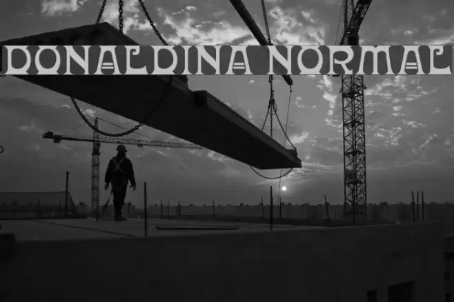 Donaldina Normal Font examples