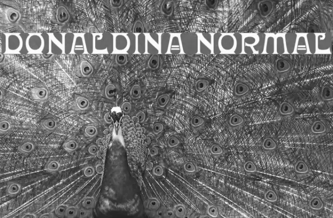 Donaldina Normal Font examples