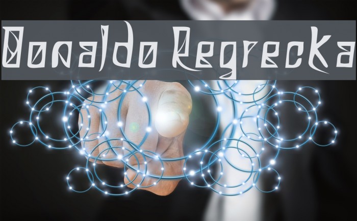 Donaldo Regrecka Example 1