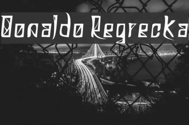 Donaldo Regrecka Font examples