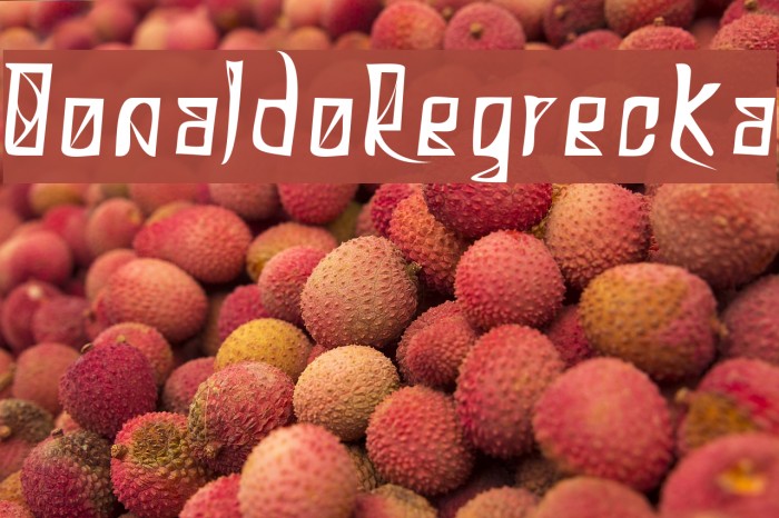 DonaldoRegrecka Font examples