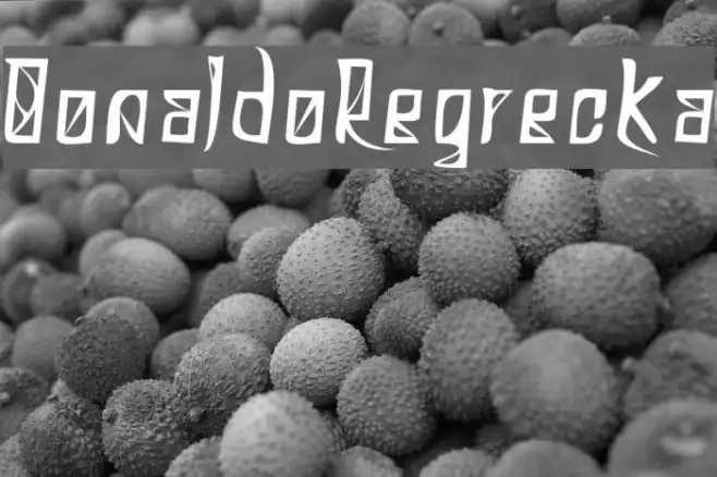 DonaldoRegrecka Example 1