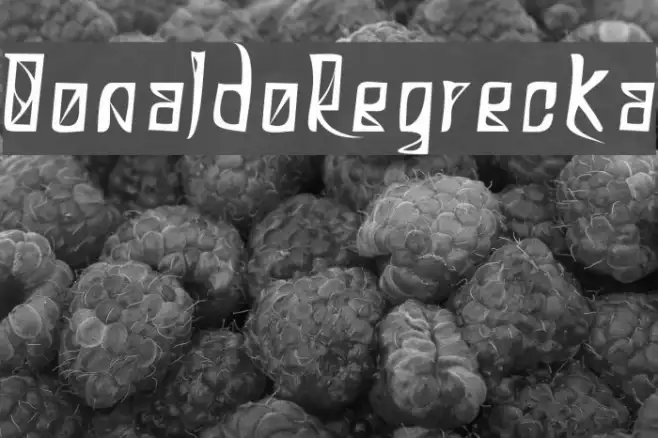 DonaldoRegrecka Example 3
