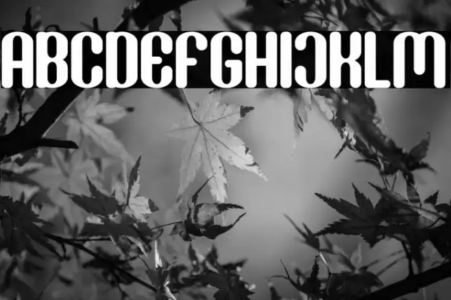 Donaldson Font examples