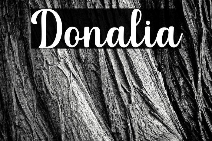 Donalia Example 1