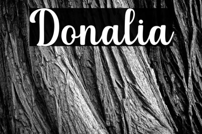 Donalia Example 1