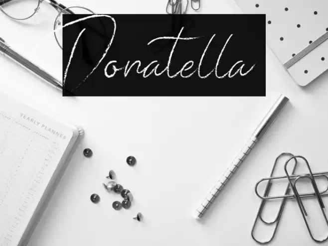 Donatella  Font examples