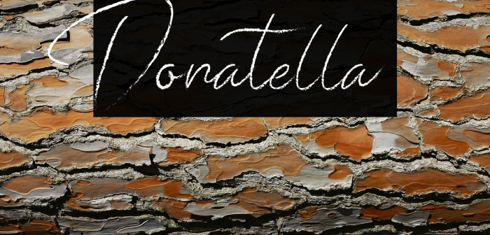 Donatella  Example 2
