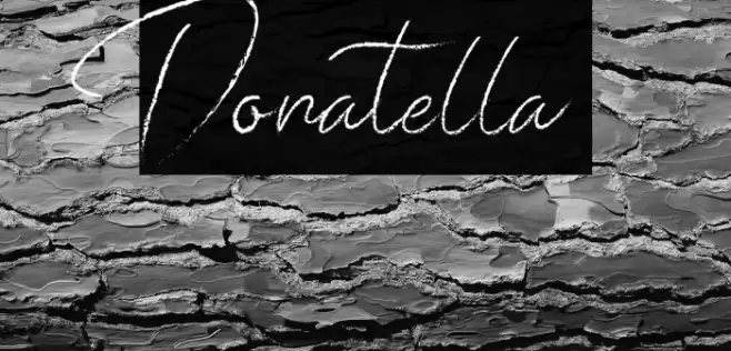 Donatella  Font examples