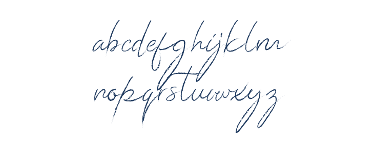 Donatella  Lowercase