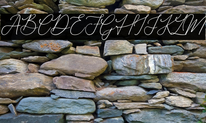 Donatellia Example 1