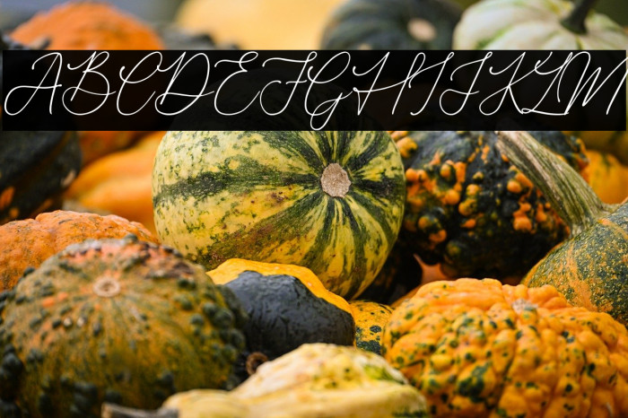 Donatellia Example 1