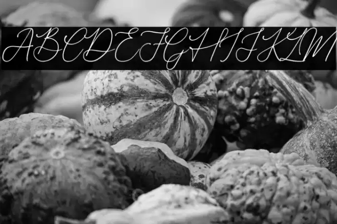 Donatellia Font examples