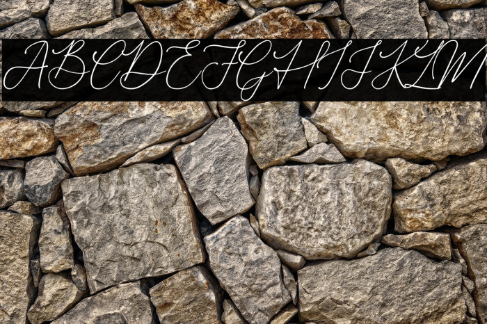 Donatellia Example 2