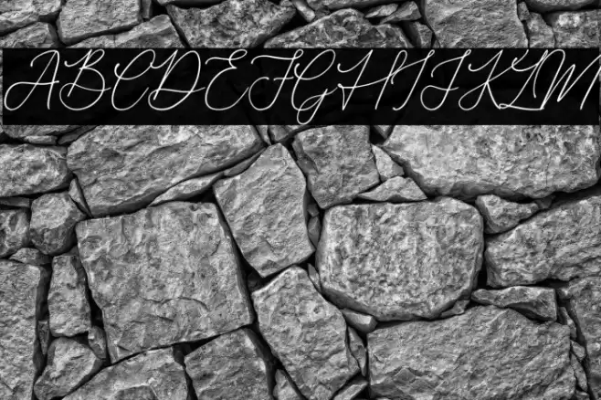 Donatellia Font examples