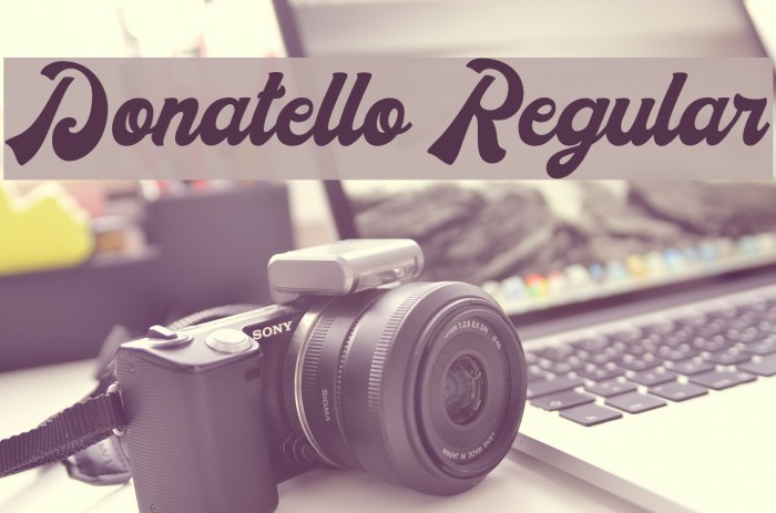Donatello Regular Font examples