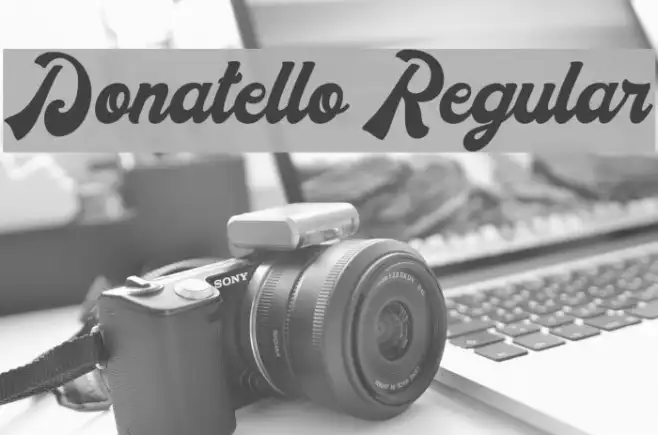 Donatello Regular Example 2