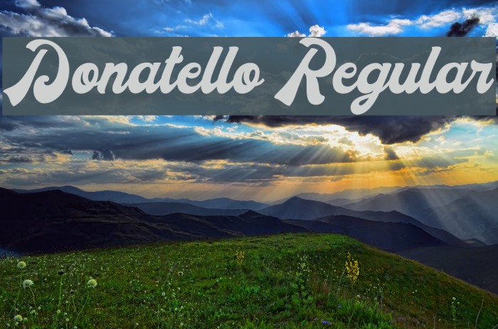 Donatello Regular Font examples