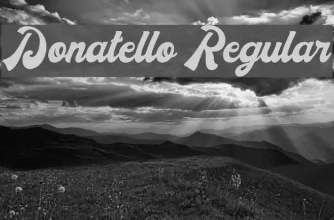 Donatello Regular Example 3