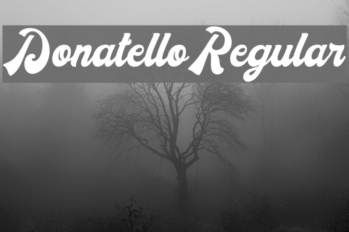 DonatelloRegular Font examples