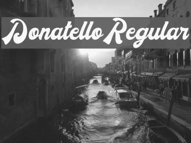 DonatelloRegular Example 3
