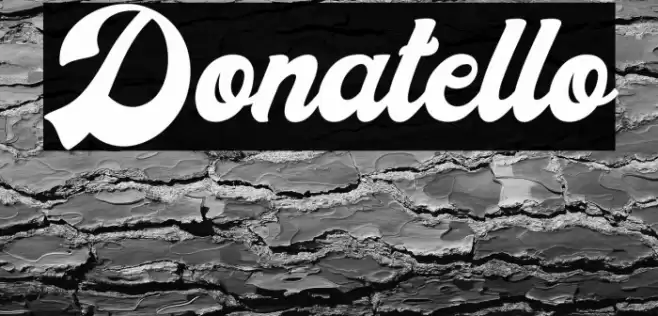 Donatello Font examples