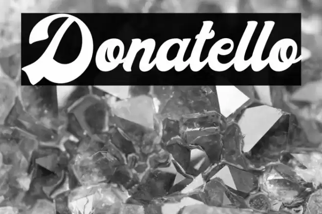 Donatello Font examples