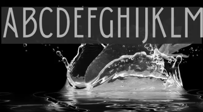 Donau Uppercase Neue Font examples