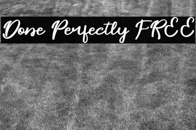 Done Perfectly FREE Font examples