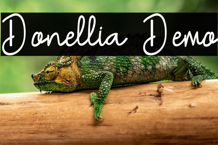 Donellia Demo Example 3